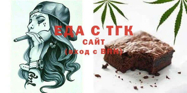 дурь Инта