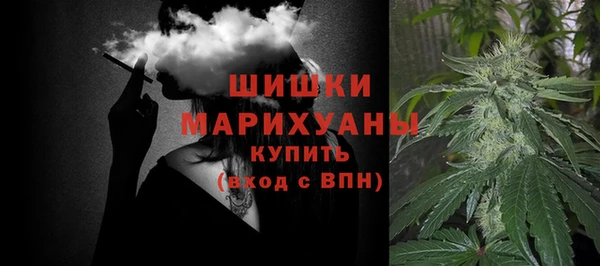 дурь Инта