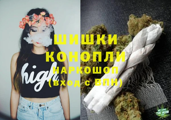 дурь Инта