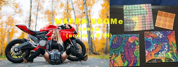 дмт Инсар