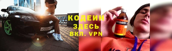 дмт Инсар