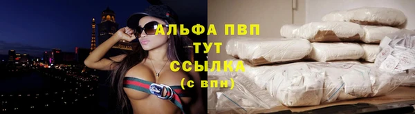 дурь Инта