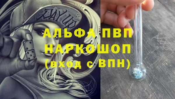 дмт Инсар