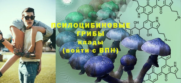 дмт Инсар