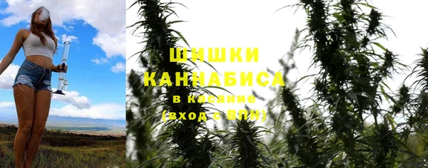 дмт Инсар