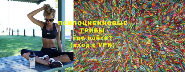 дурь Инта