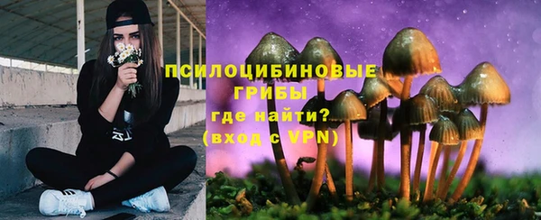 трава Иннополис