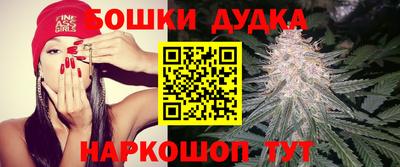 apvp Лесосибирск
