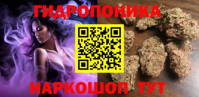 apvp Лесосибирск