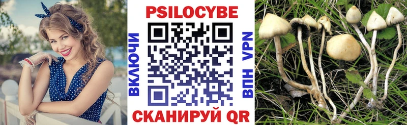 Галлюциногенные грибы Magic Shrooms  МЕГА онион  Сокол 