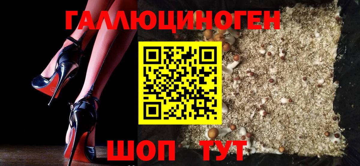 Псилоцибиновые грибы Psilocybine cubensis  Галлюциногенные грибы ЛСД  Вход с VPN  Сокол 